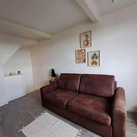 Charmant Duplex A Thiers, Vue Sur La Chaine Des Puys エクステリア 写真