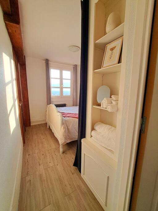 Charmant Duplex A Thiers, Vue Sur La Chaine Des Puys エクステリア 写真