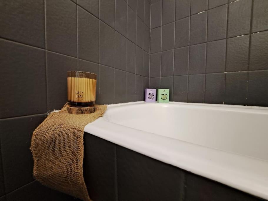 Charmant Duplex A Thiers, Vue Sur La Chaine Des Puys エクステリア 写真
